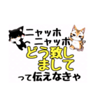 ニャッホニャッホで挨拶スタンプ（個別スタンプ：2）