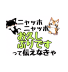 ニャッホニャッホで挨拶スタンプ（個別スタンプ：4）