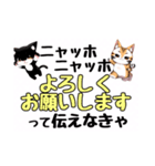 ニャッホニャッホで挨拶スタンプ（個別スタンプ：5）