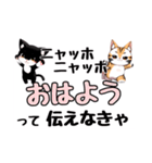 ニャッホニャッホで挨拶スタンプ（個別スタンプ：6）