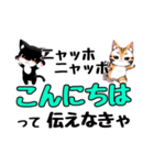 ニャッホニャッホで挨拶スタンプ（個別スタンプ：7）