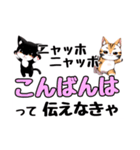 ニャッホニャッホで挨拶スタンプ（個別スタンプ：8）