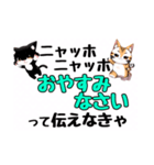 ニャッホニャッホで挨拶スタンプ（個別スタンプ：9）