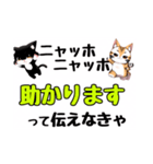 ニャッホニャッホで挨拶スタンプ（個別スタンプ：10）