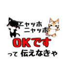 ニャッホニャッホで挨拶スタンプ（個別スタンプ：11）