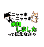 ニャッホニャッホで挨拶スタンプ（個別スタンプ：12）