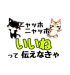 ニャッホニャッホで挨拶スタンプ（個別スタンプ：13）