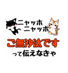 ニャッホニャッホで挨拶スタンプ（個別スタンプ：15）