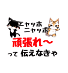ニャッホニャッホで挨拶スタンプ（個別スタンプ：16）