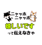 ニャッホニャッホで挨拶スタンプ（個別スタンプ：17）