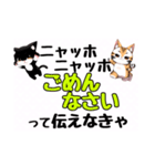 ニャッホニャッホで挨拶スタンプ（個別スタンプ：18）