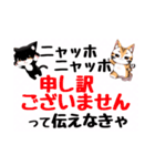 ニャッホニャッホで挨拶スタンプ（個別スタンプ：19）