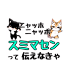 ニャッホニャッホで挨拶スタンプ（個別スタンプ：20）