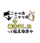ニャッホニャッホで挨拶スタンプ（個別スタンプ：21）
