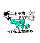 ニャッホニャッホで挨拶スタンプ（個別スタンプ：24）