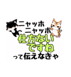 ニャッホニャッホで挨拶スタンプ（個別スタンプ：26）