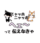 ニャッホニャッホで挨拶スタンプ（個別スタンプ：28）