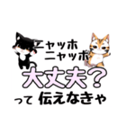 ニャッホニャッホで挨拶スタンプ（個別スタンプ：29）