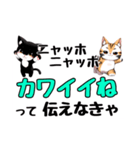 ニャッホニャッホで挨拶スタンプ（個別スタンプ：30）