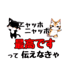 ニャッホニャッホで挨拶スタンプ（個別スタンプ：31）
