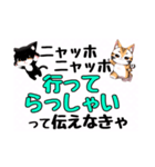 ニャッホニャッホで挨拶スタンプ（個別スタンプ：34）