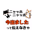ニャッホニャッホで挨拶スタンプ（個別スタンプ：35）