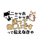 ニャッホニャッホで挨拶スタンプ（個別スタンプ：36）