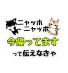 ニャッホニャッホで挨拶スタンプ（個別スタンプ：37）
