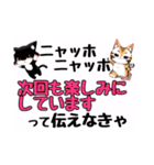 ニャッホニャッホで挨拶スタンプ（個別スタンプ：38）