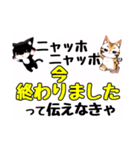 ニャッホニャッホで挨拶スタンプ（個別スタンプ：39）