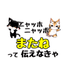 ニャッホニャッホで挨拶スタンプ（個別スタンプ：40）