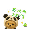 可愛い～ワンコたちだワン♪（個別スタンプ：4）