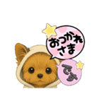 可愛い～ワンコたちだワン♪（個別スタンプ：8）
