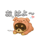 可愛い～ワンコたちだワン♪（個別スタンプ：16）