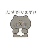 ぽぽとじじ（個別スタンプ：6）