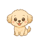 かわいいマルプーのポム（個別スタンプ：1）