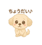 かわいいマルプーのポム（個別スタンプ：2）