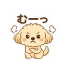 かわいいマルプーのポム（個別スタンプ：5）