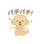 かわいいマルプーのポム（個別スタンプ：7）