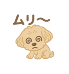 かわいいマルプーのポム（個別スタンプ：8）