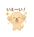 かわいいマルプーのポム（個別スタンプ：9）