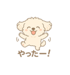 かわいいマルプーのポム（個別スタンプ：16）