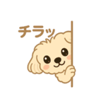 かわいいマルプーのポム（個別スタンプ：18）