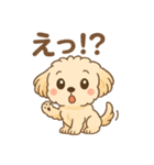 かわいいマルプーのポム（個別スタンプ：19）