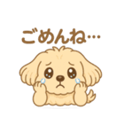 かわいいマルプーのポム（個別スタンプ：22）
