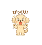 かわいいマルプーのポム（個別スタンプ：23）