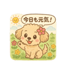 かわいいマルプーのポム（個別スタンプ：24）