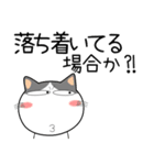 猫三昧★トラブル対応（再販）（個別スタンプ：14）