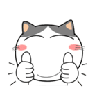 猫三昧★トラブル対応（再販）（個別スタンプ：26）