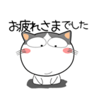 猫三昧★トラブル対応（再販）（個別スタンプ：34）